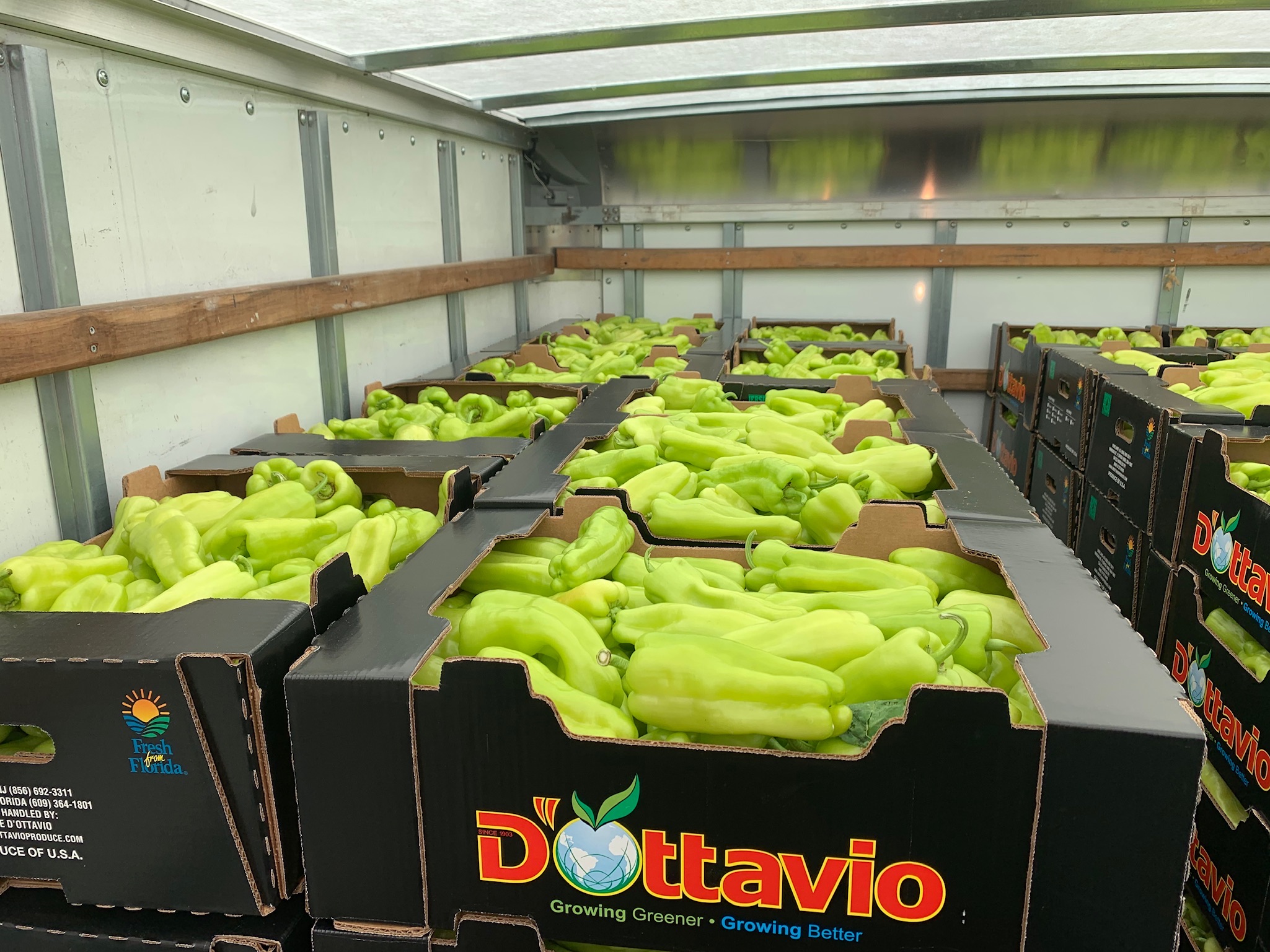 Farmlind Produce-Dottavio